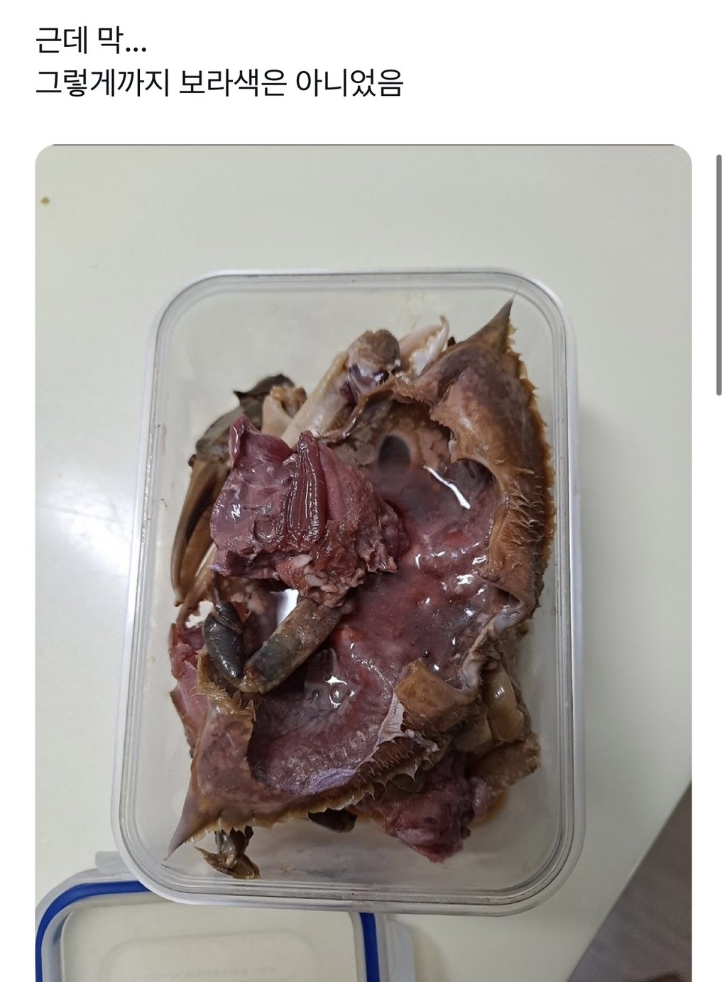 보라색 간장게장 먹고 장염걸림....