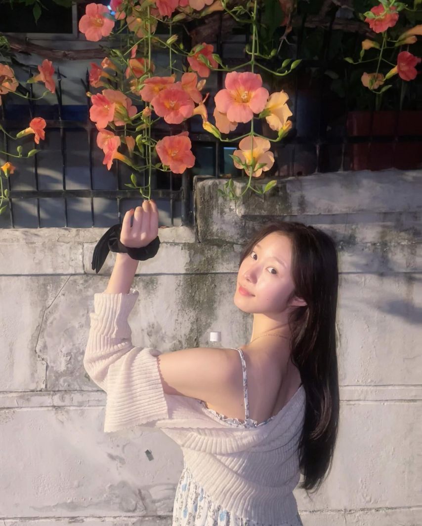 시그니처 채솔