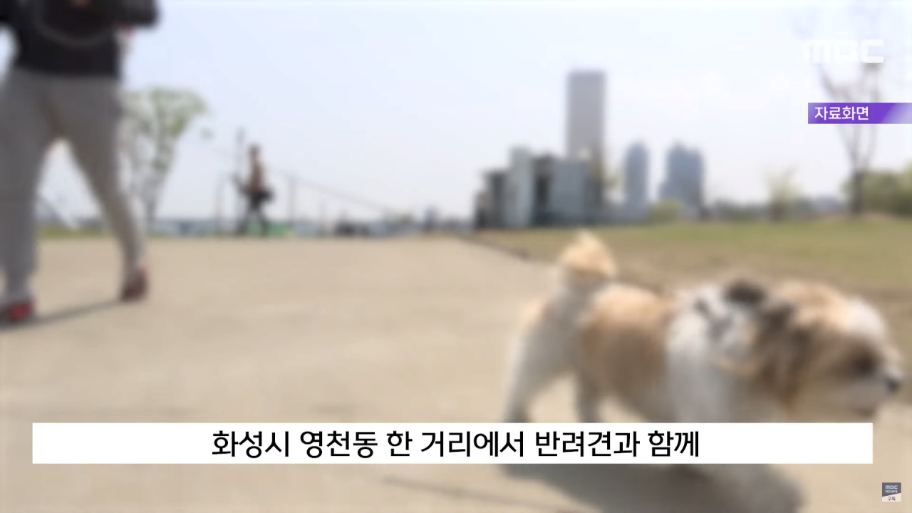 계속 나오는 화성동탄경찰서