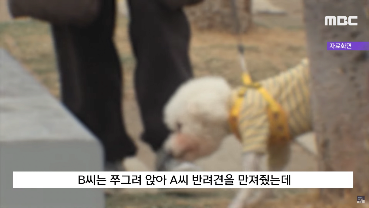 계속 나오는 화성동탄경찰서
