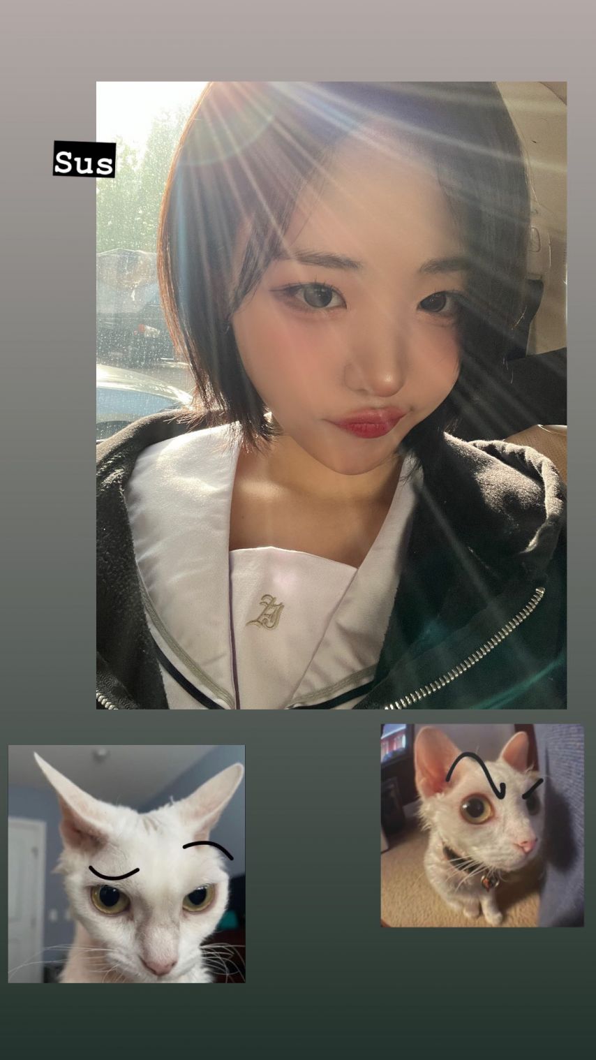 qwer 냥뇽녕냥