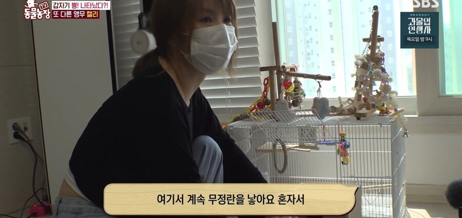 결국 논문거리까지 찾아낸 동물농장 (스압)