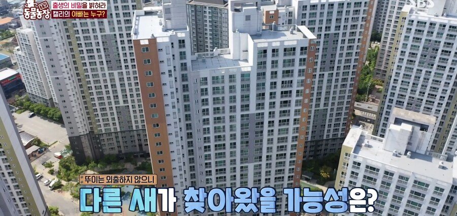 결국 논문거리까지 찾아낸 동물농장 (스압)