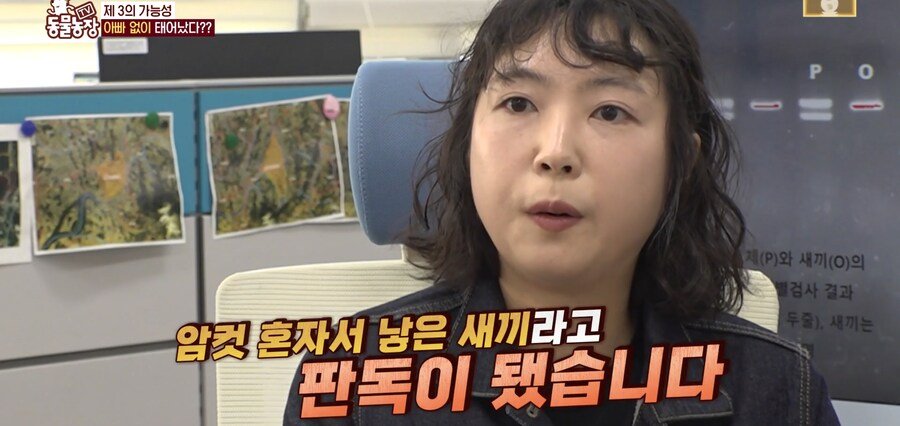 결국 논문거리까지 찾아낸 동물농장 (스압)