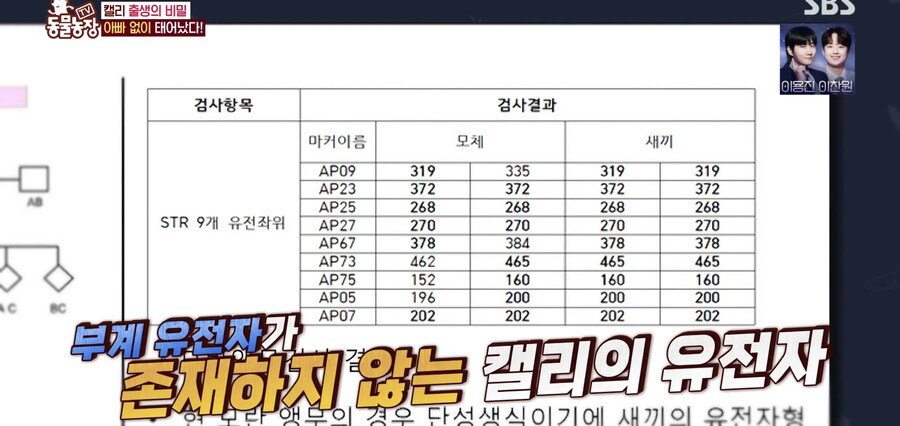 결국 논문거리까지 찾아낸 동물농장 (스압)