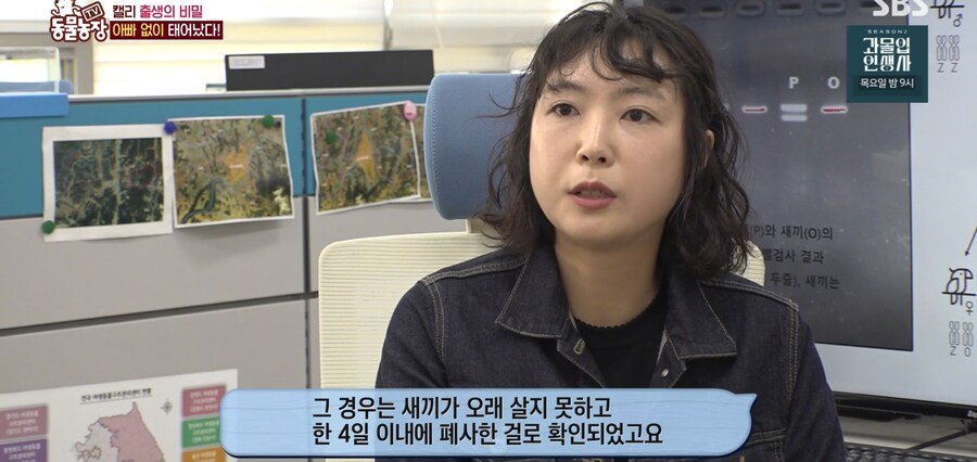 결국 논문거리까지 찾아낸 동물농장 (스압)
