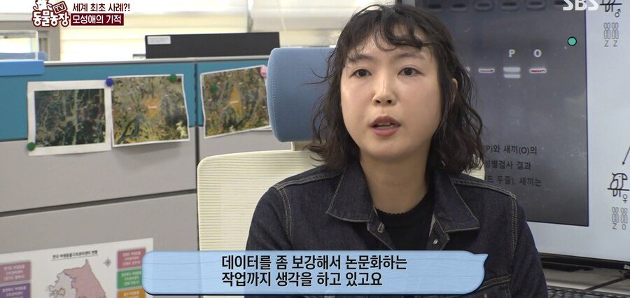 결국 논문거리까지 찾아낸 동물농장 (스압)
