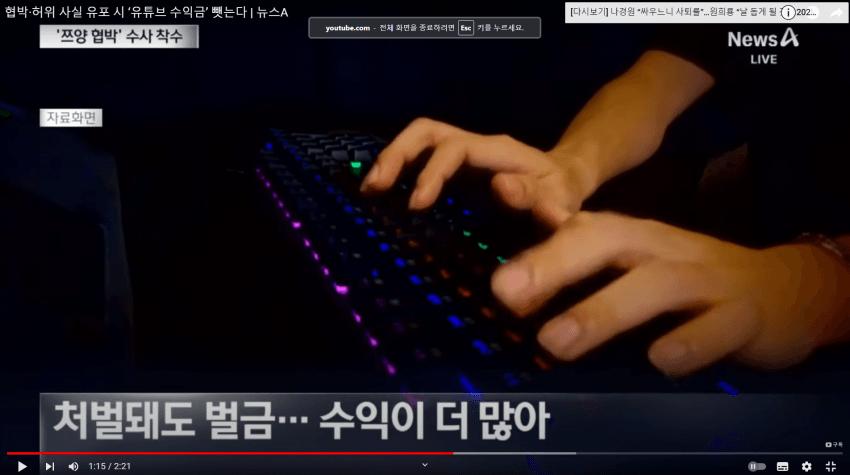 유튜브로 허위사실 유포하는 유튜버들 수익 죄다 추징