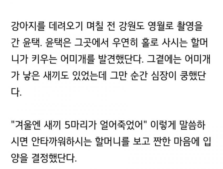 나는 자연인이다 윤택이 입양한 댕댕이