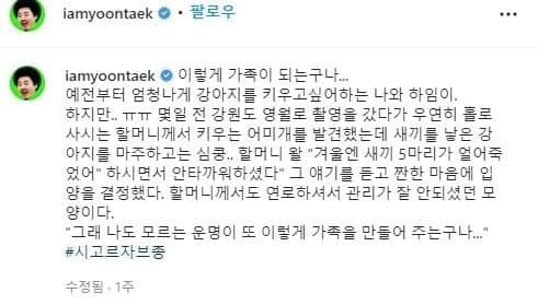 나는 자연인이다 윤택이 입양한 댕댕이