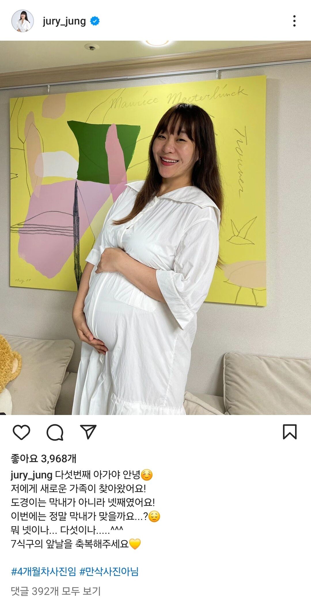 정주리 측 "다섯째 임신 맞다…초기라 조심스러워" [공식입장]