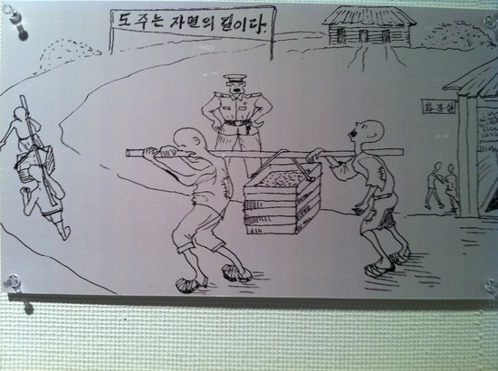 [극혐] 북한수용소의 현주소