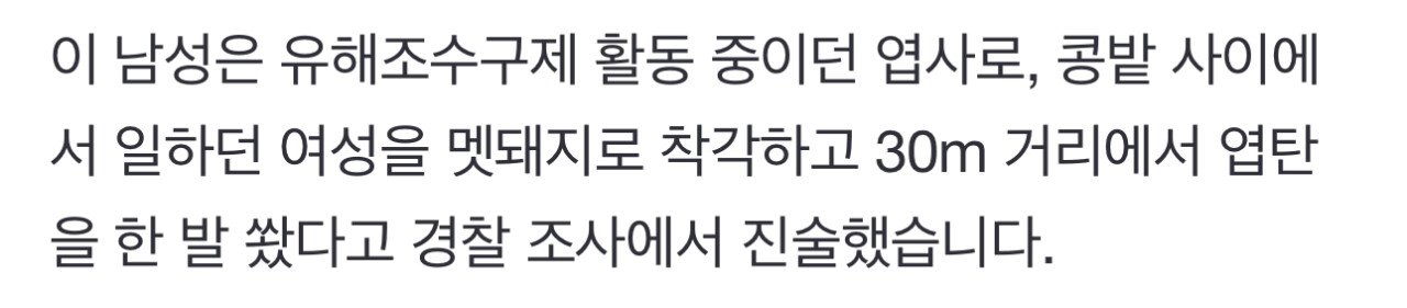 밭일하던 50대 여성, 엽총 맞아 숨져
