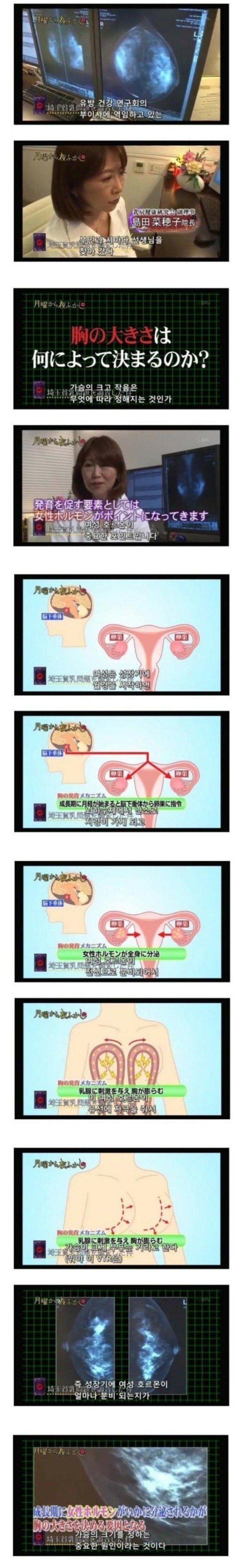 ㅇㅎ) 남자가 가슴큰 여자 좋아하는 이유 ㄷㄷㄷ