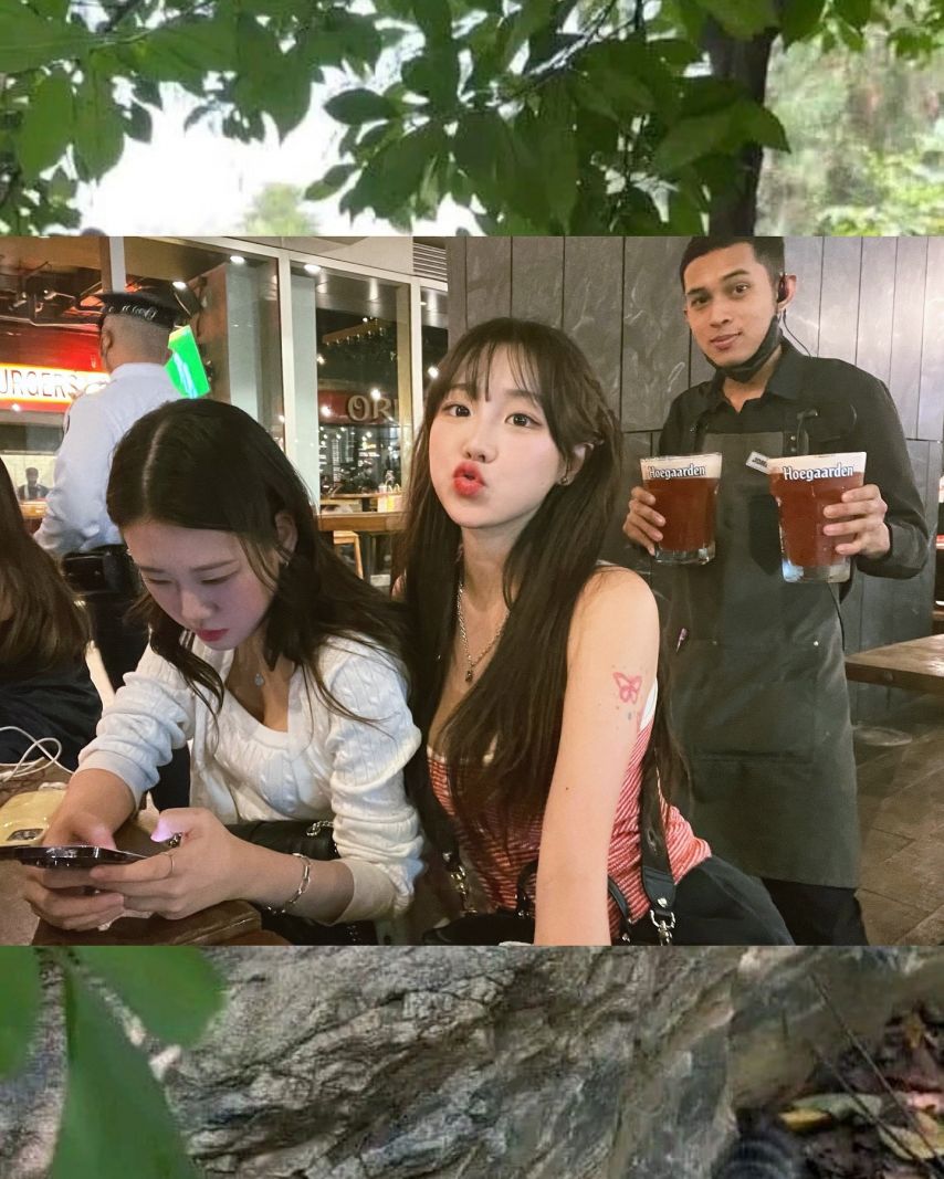 기무세딘 인스타