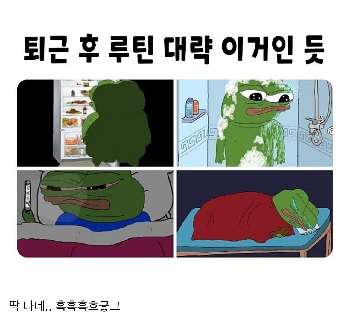 직장인들 퇴근 후 루틴...