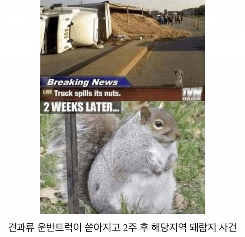 옥수수 기차 사고 충격 근황