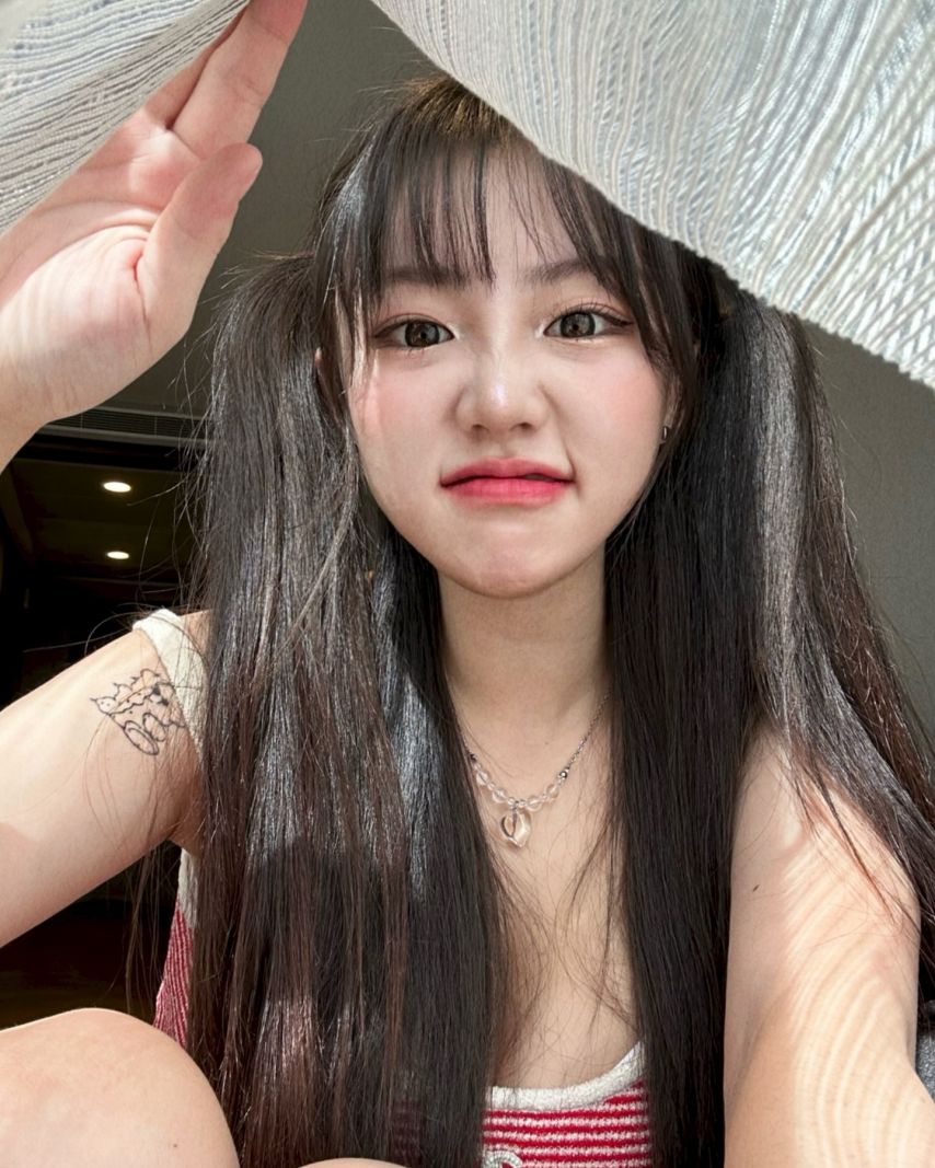 기무세딘 인스타