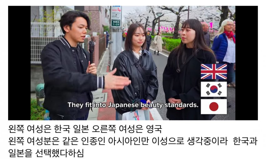 일본여자들이 생각하는 잘생긴나라