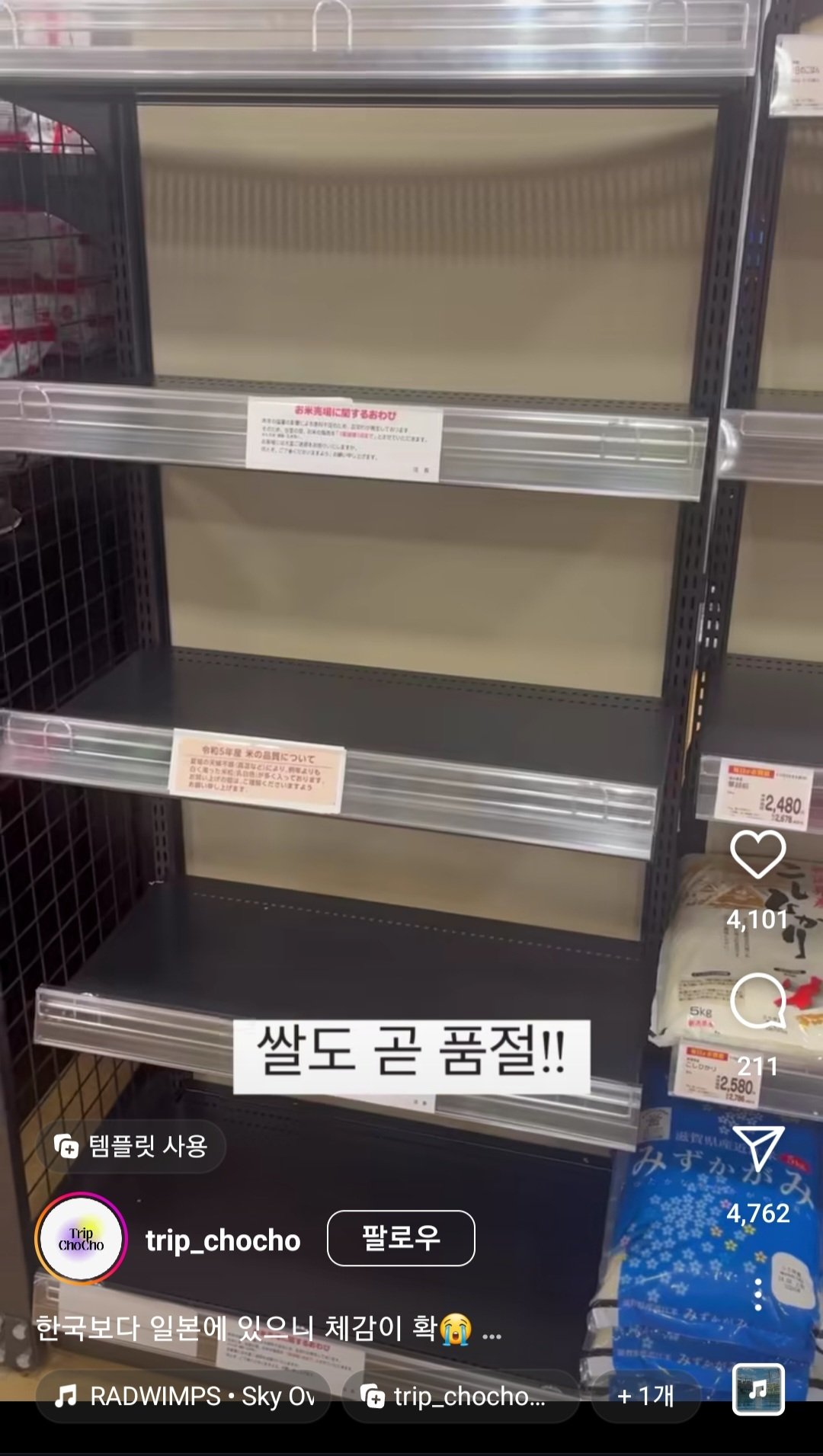 심상치않은 일본 현지 근황