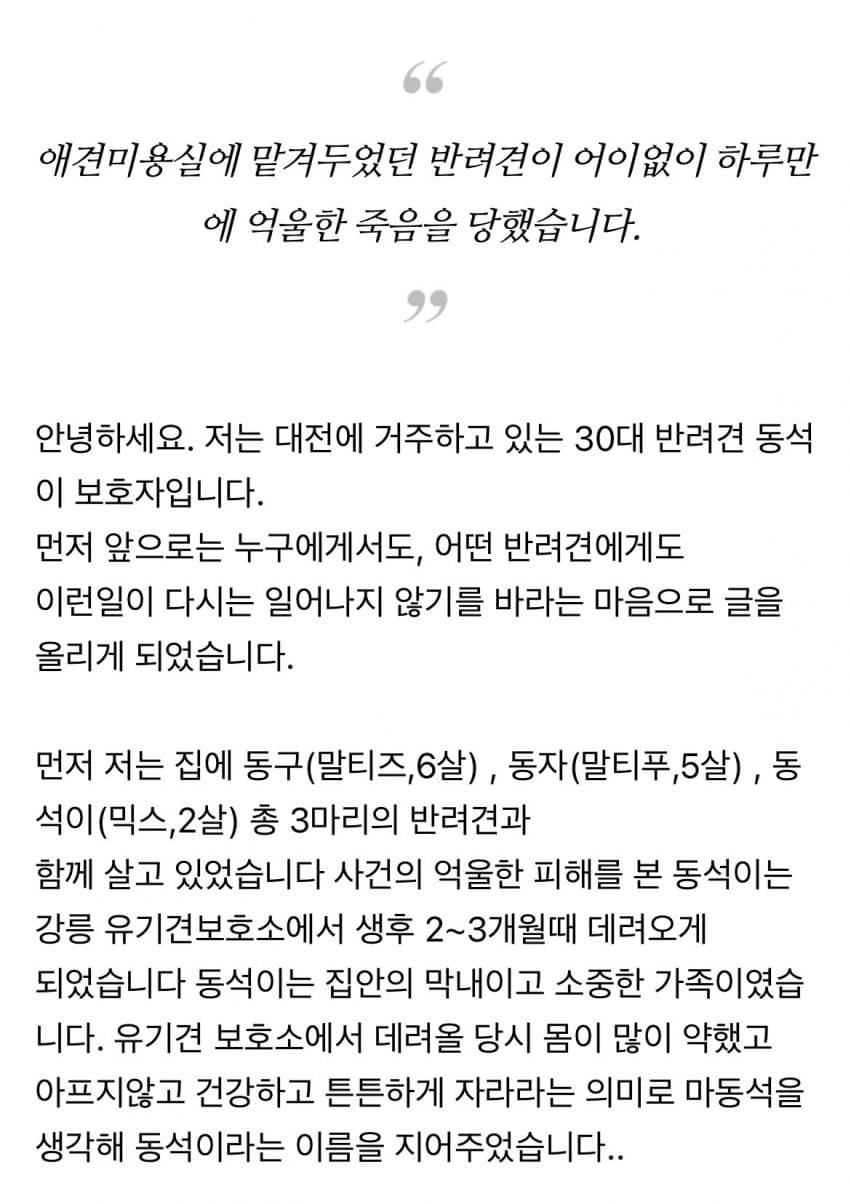 대전 강아지 사망 사건.jpg
