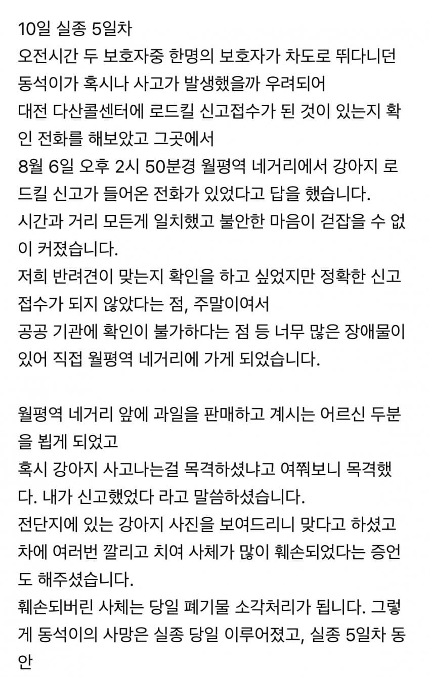 대전 강아지 사망 사건.jpg