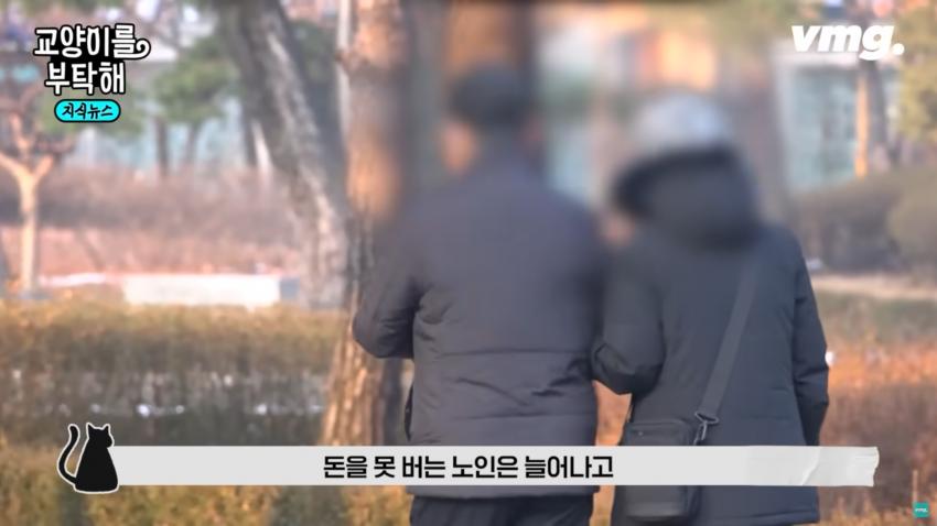 일본 고령화 대책이 한국에게 시사하는 점