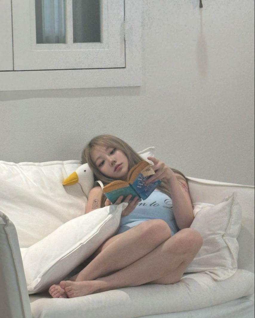 기무세딘 인스타