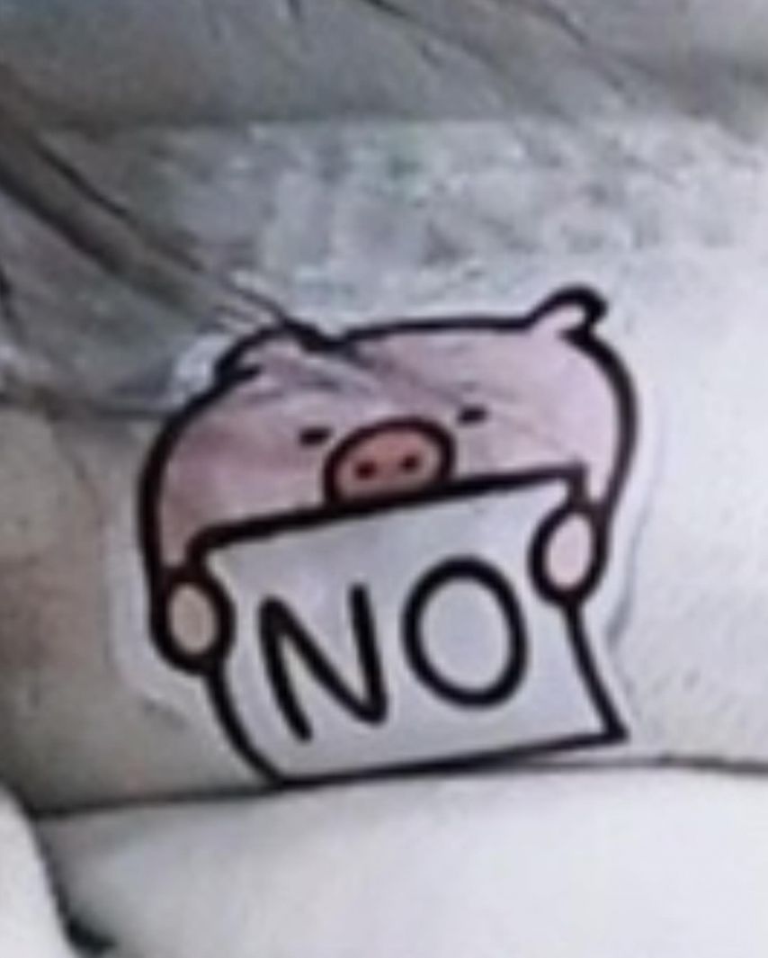 안지현