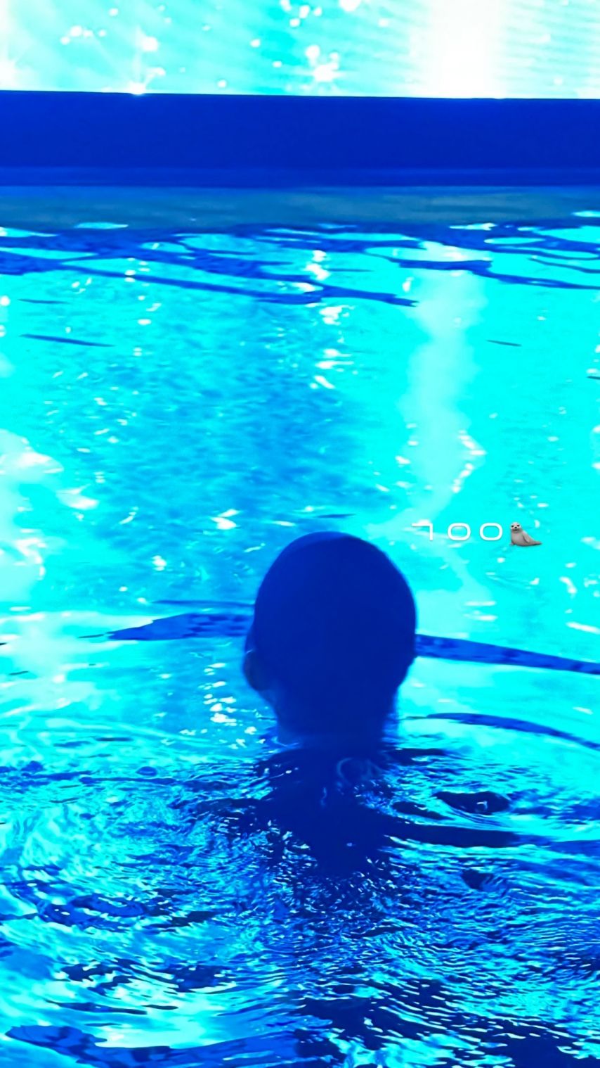 전은비