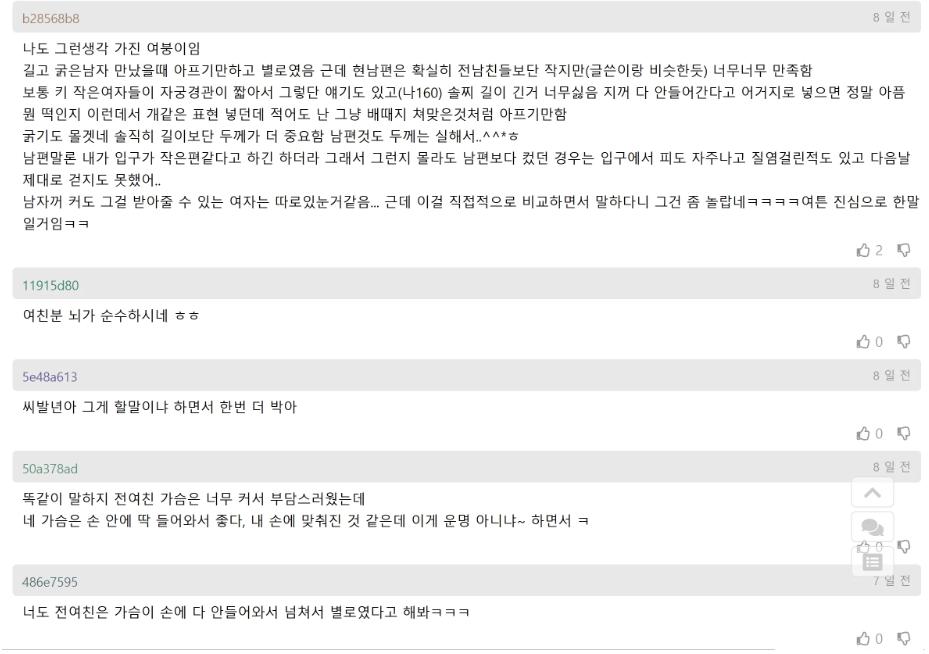 여친이 전 남친 ㄱㅊ크기 언급했다는 개드립 유저