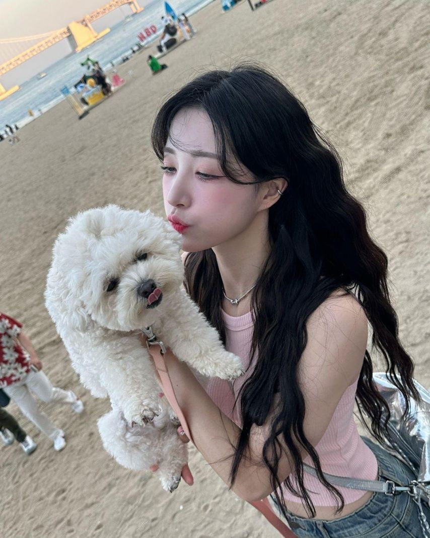 이호정