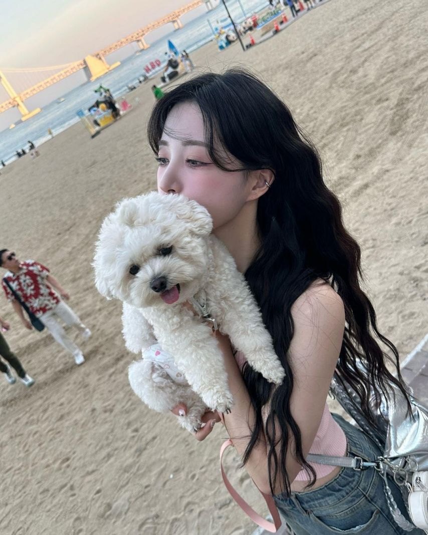이호정