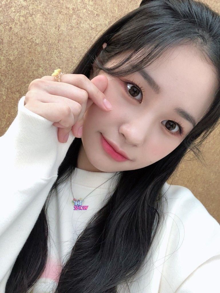 위클리 지한