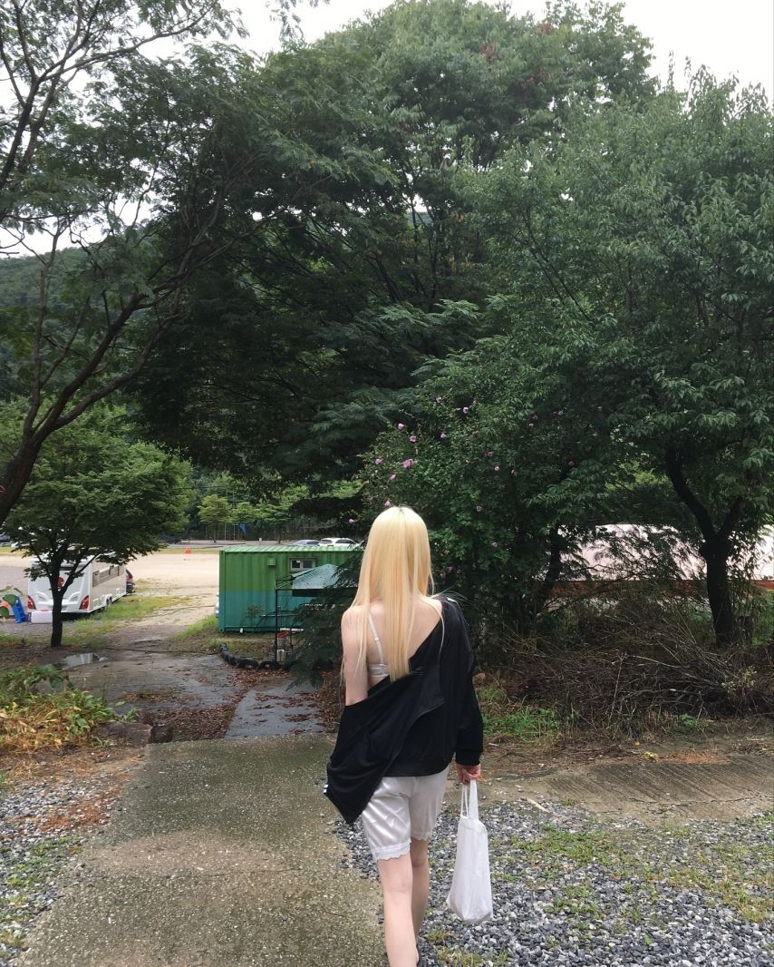 기무세딘 인스타