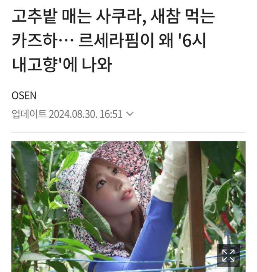 고추밭 매는 사쿠라 & 새참먹는 카즈하