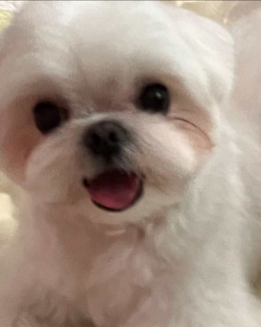 김수현, 김가은 인스타