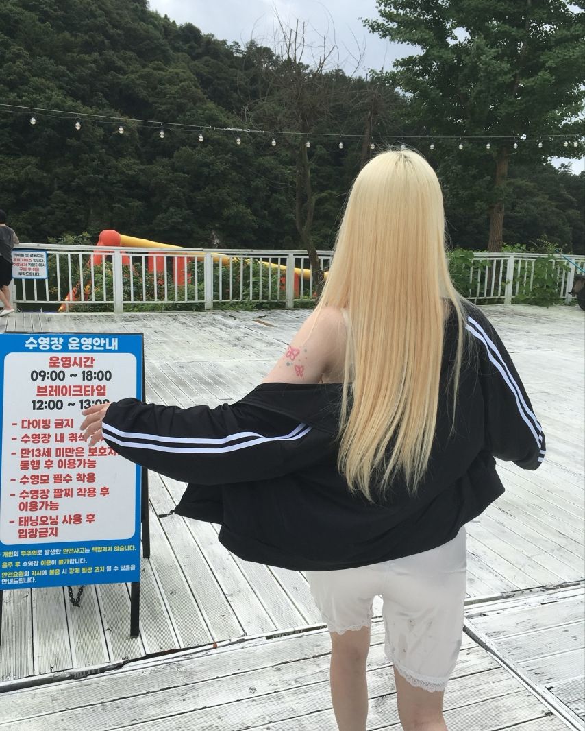 기무세딘 인스타