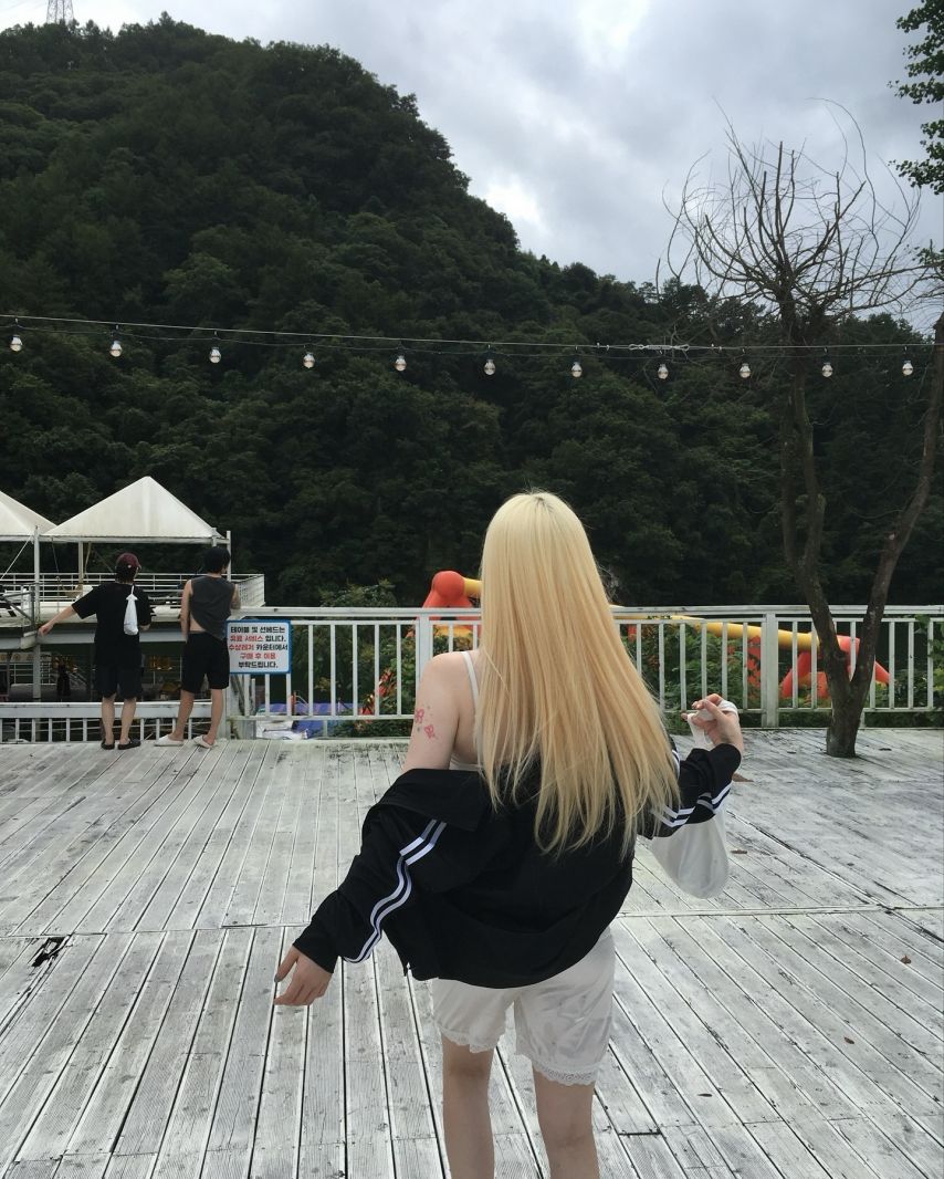 기무세딘 인스타