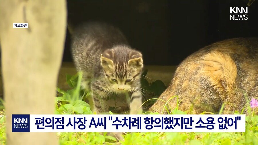 편의점 사장의 미친 판단력