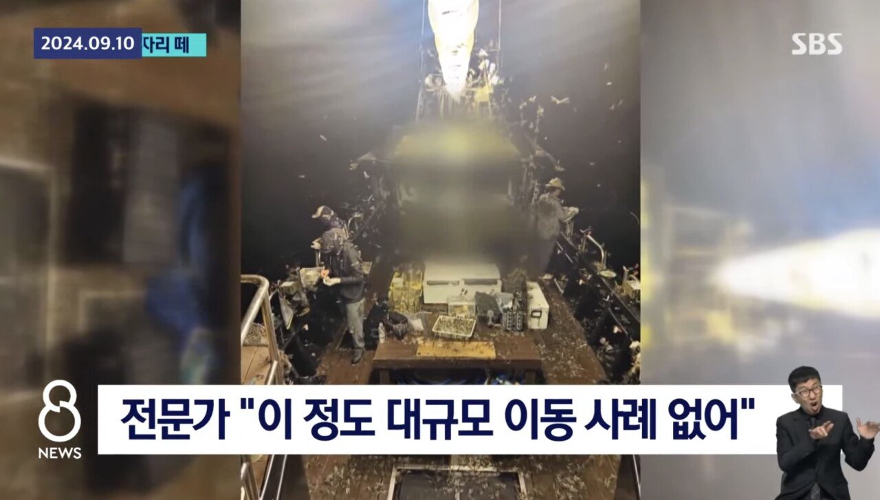 ㅇㅎ) 제주도 앞바다 어선에 미친 잠자리떼 공습
