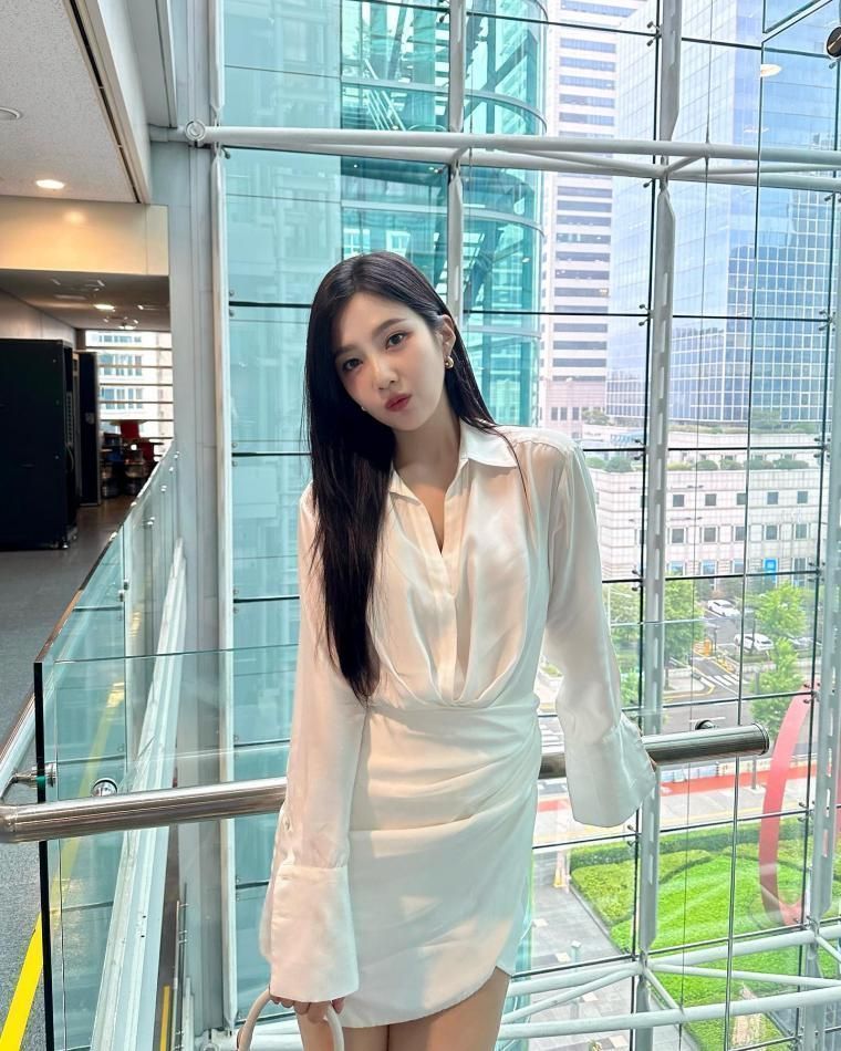 레드벨벳 조이