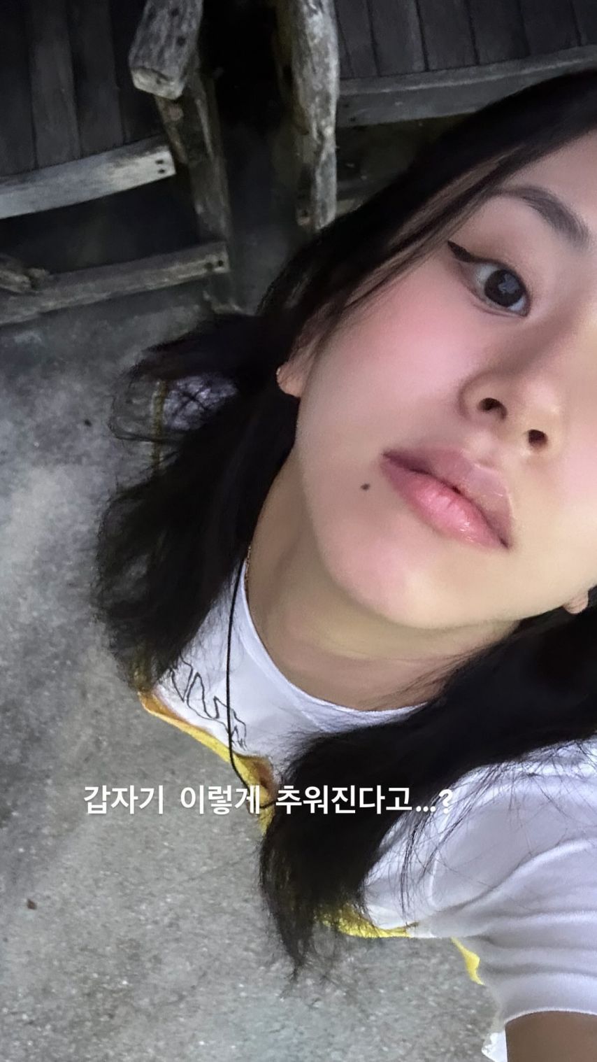 트와이스 인스타-채영