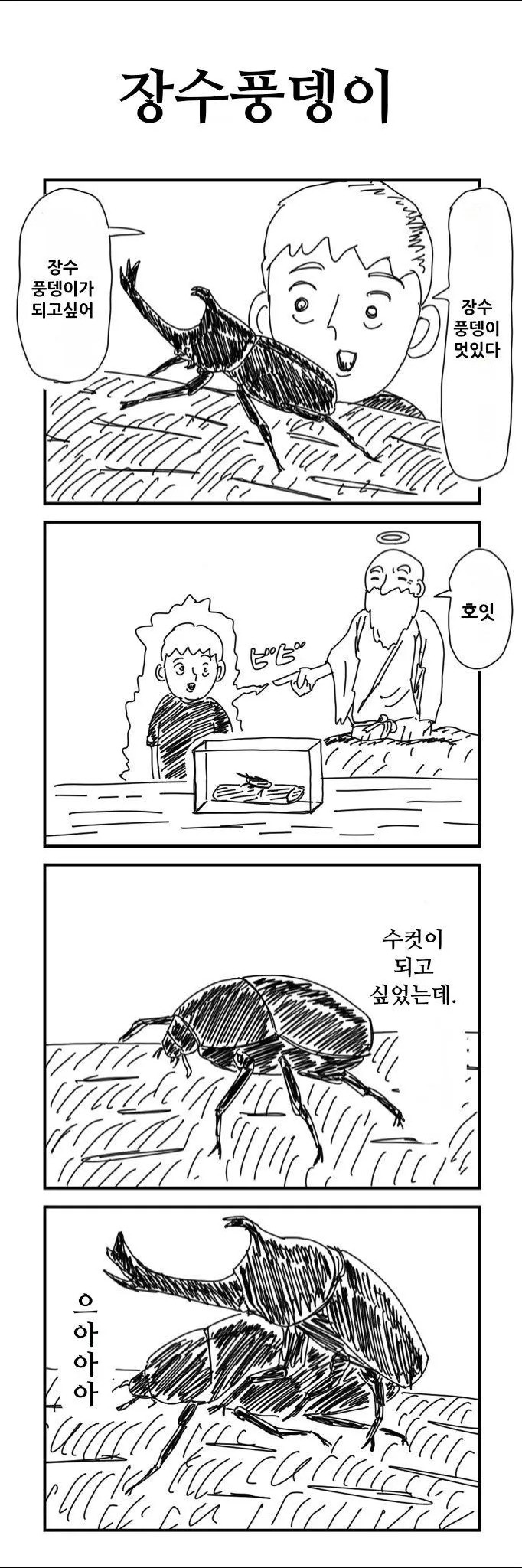 장수풍뎅이