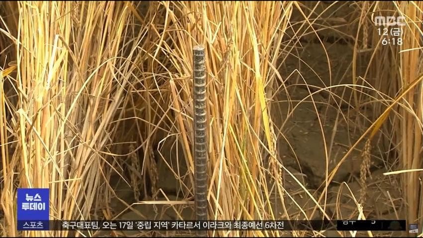 논밭에 자꾸 CCTV를 세우는 이유