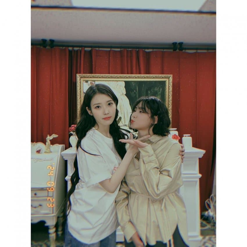 스압) 엊그제 아이유 콘서트 갔던 연예인들