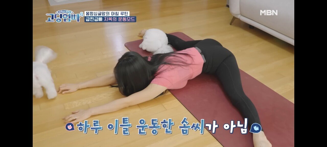 17살에 애엄마가된 여자 직업..