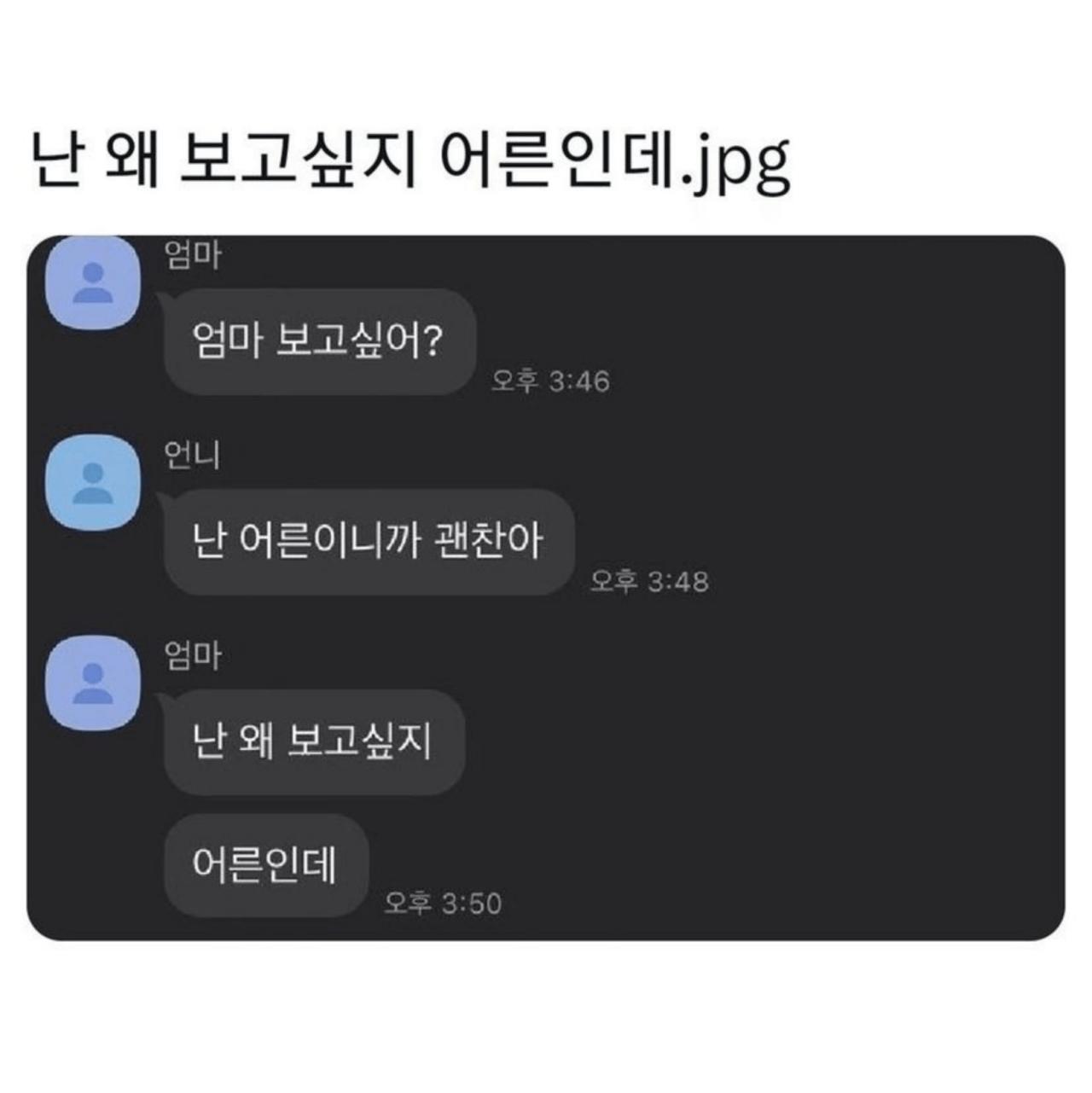 눈물 왈칵... 엄마와의 대화 모음 ㅠㅠ
