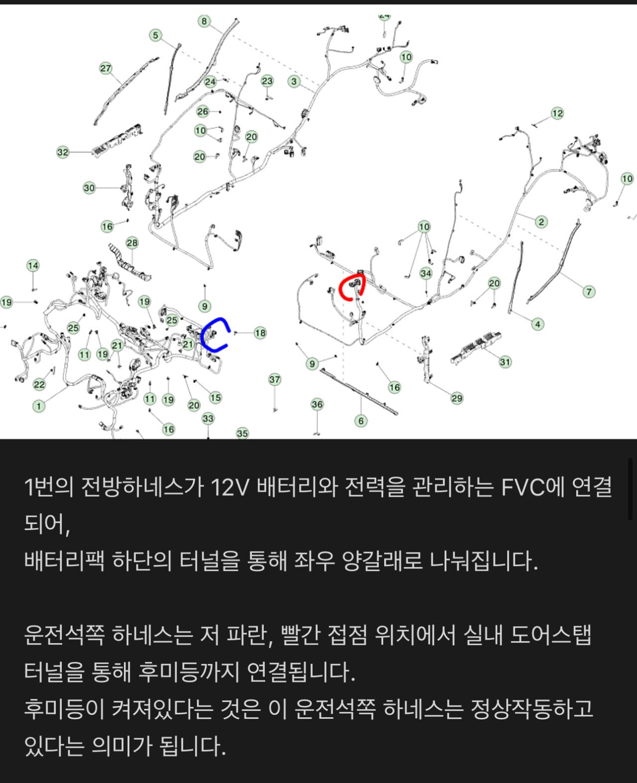 테슬라 카페에 올라온 이번 전소 사망 사고 정보
