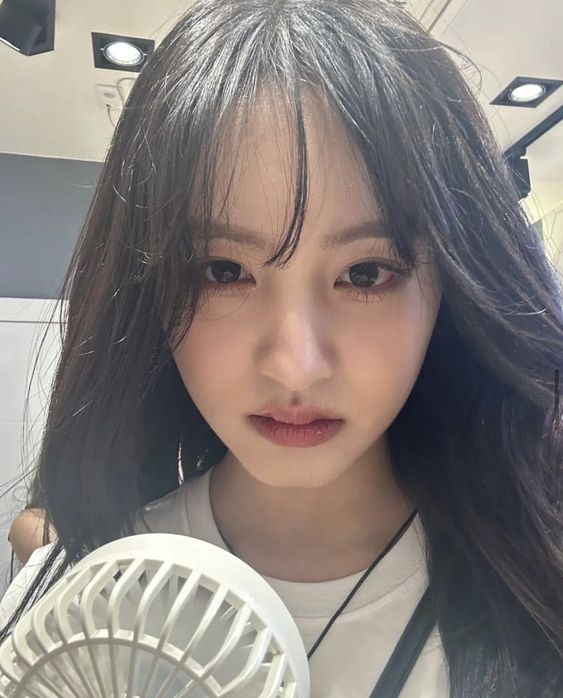 아이브 리즈